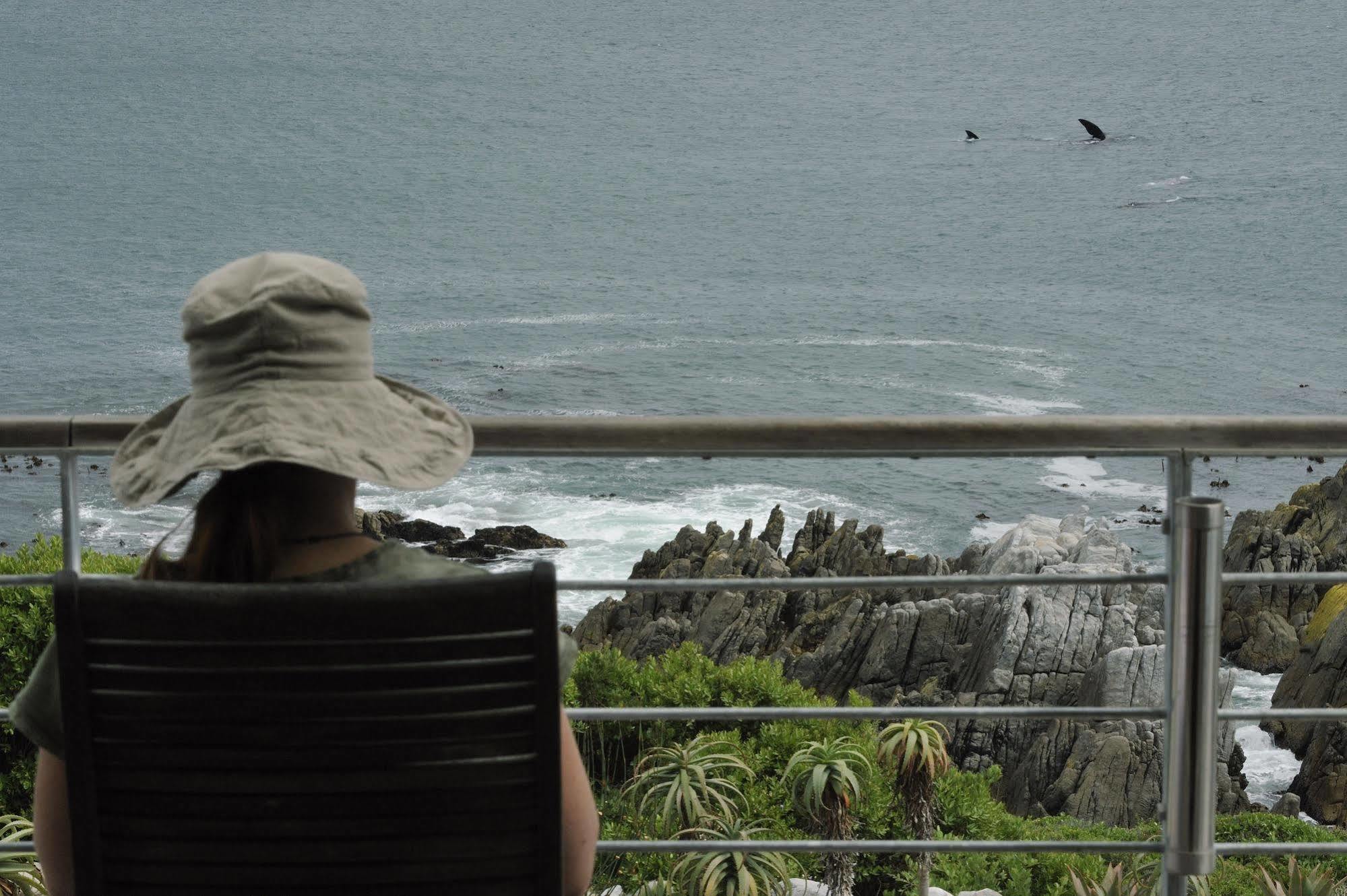 Whalesong Lodge Gansbaai Exterior photo